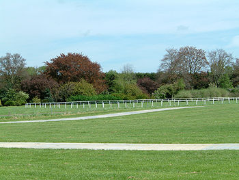 Frogmore Ring