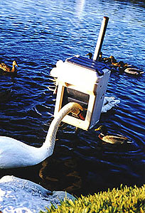 The Blitz® Swan Feeder