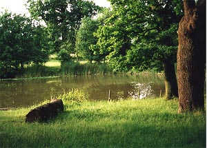 The Pond at Bears Rails