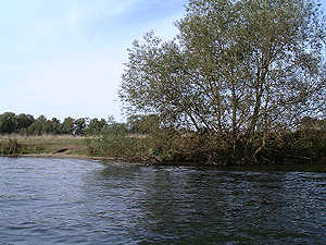 Natural river banks e