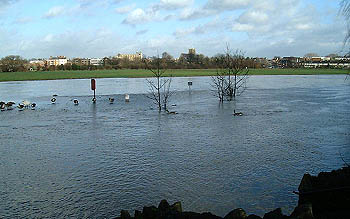 Baths Island submerged and view of brocas