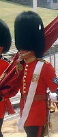 Grenadier Guard
